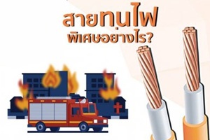 ประเภทและคุณสมบัติของสายทนไฟ